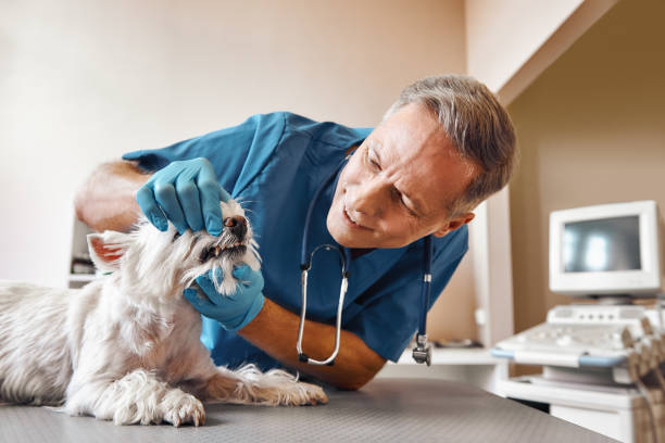 Best Emergency Dental Surgery in Winfield, AL